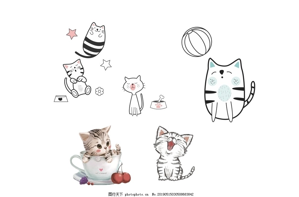 哪种宠物狗可爱？