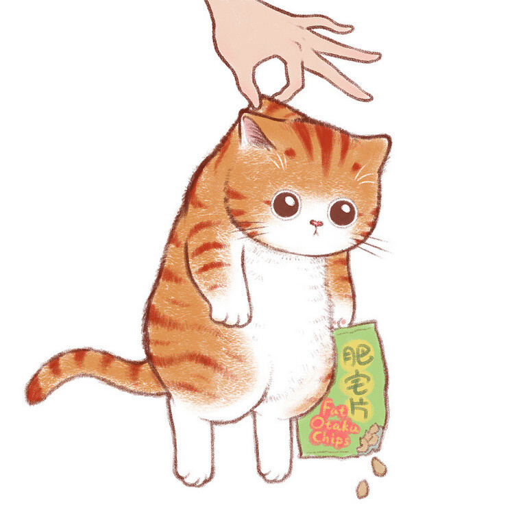 养宠物狗意义：它们不仅是伙伴，更是生活的调味剂